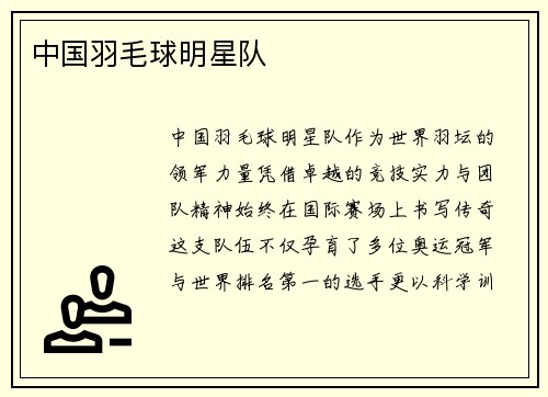 中国羽毛球明星队